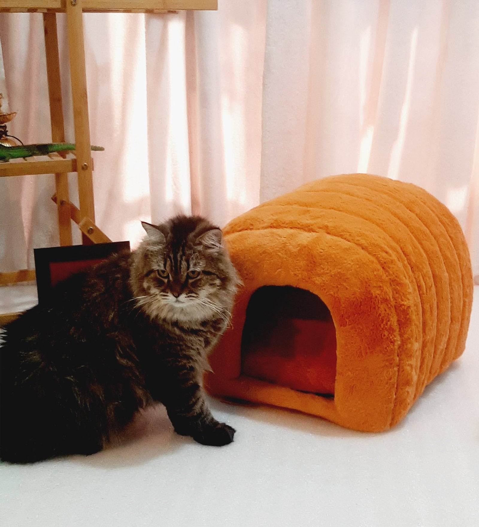 Pet igloo hotsell for cats